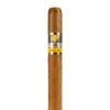 Cohiba Siglo IV Cigar
