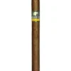 Cohiba Siglo V Cigar
