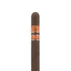 Rocky Patel Vintage 2006 Robusto Cigar